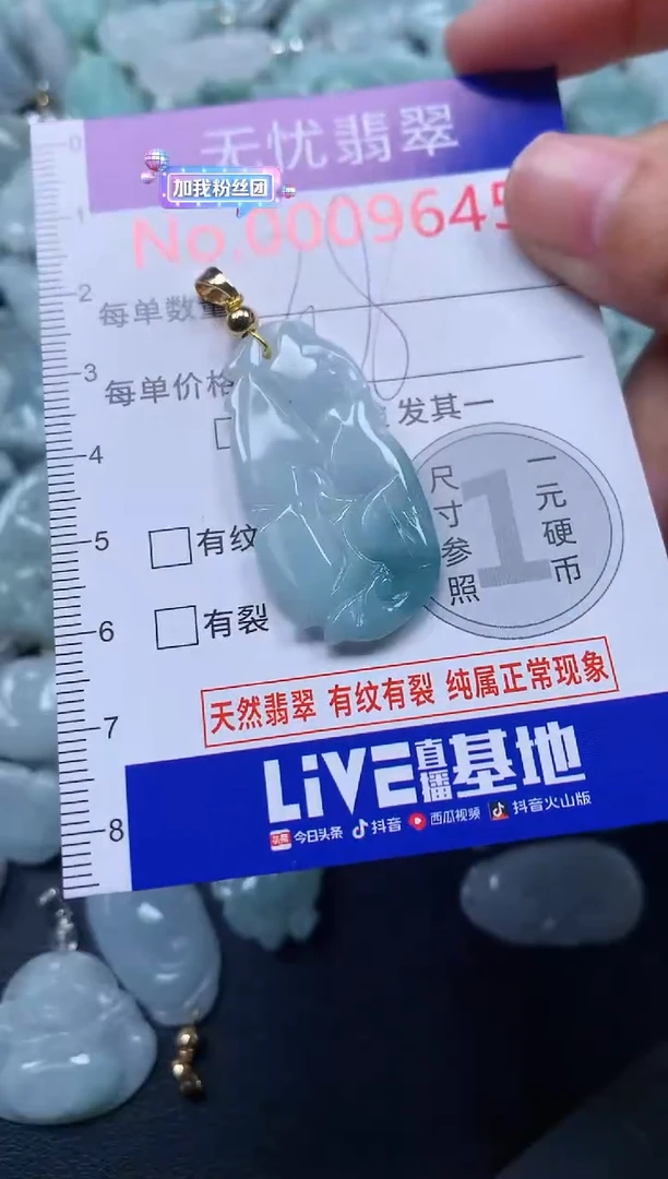 颈饰未镶嵌翡翠9645