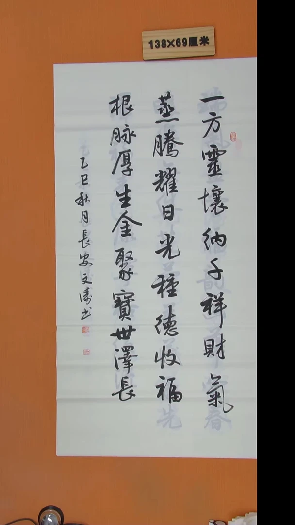 书法辛老师书法陕西西安138*69