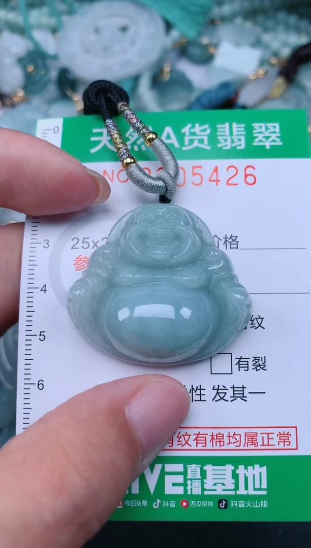 翡翠未镶嵌颈饰.0005426