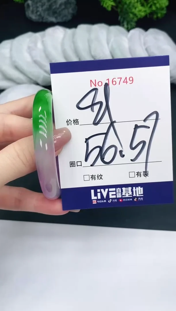 未镶嵌手镯翡翠16749
