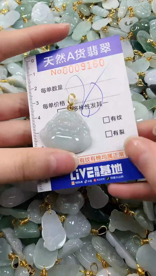颈饰未镶嵌翡翠纯天然a货翡翠