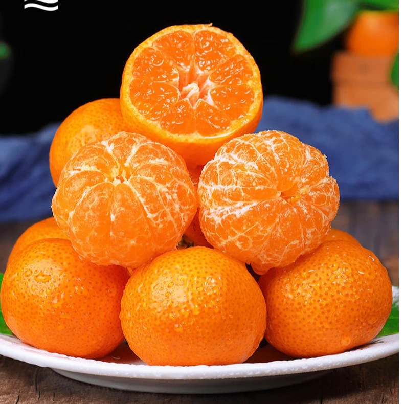 正宗广西砂糖橘沙糖桔新鲜时令小橘子生鲜水果