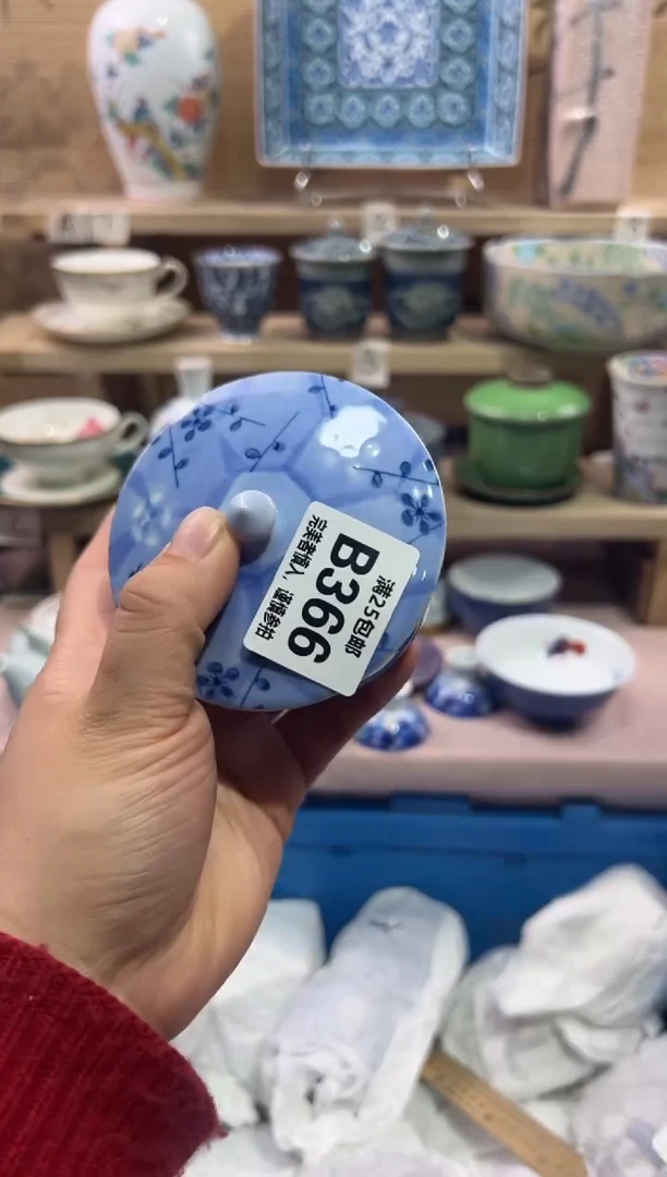 瓷片R*F              B366