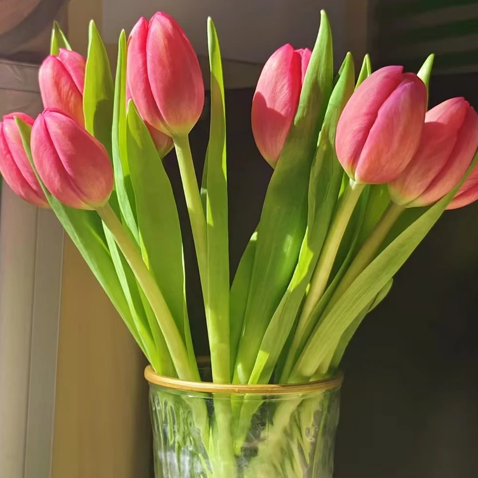 【一品花集】【粉色印象郁金香】以主播展示为主全场满一单包邮