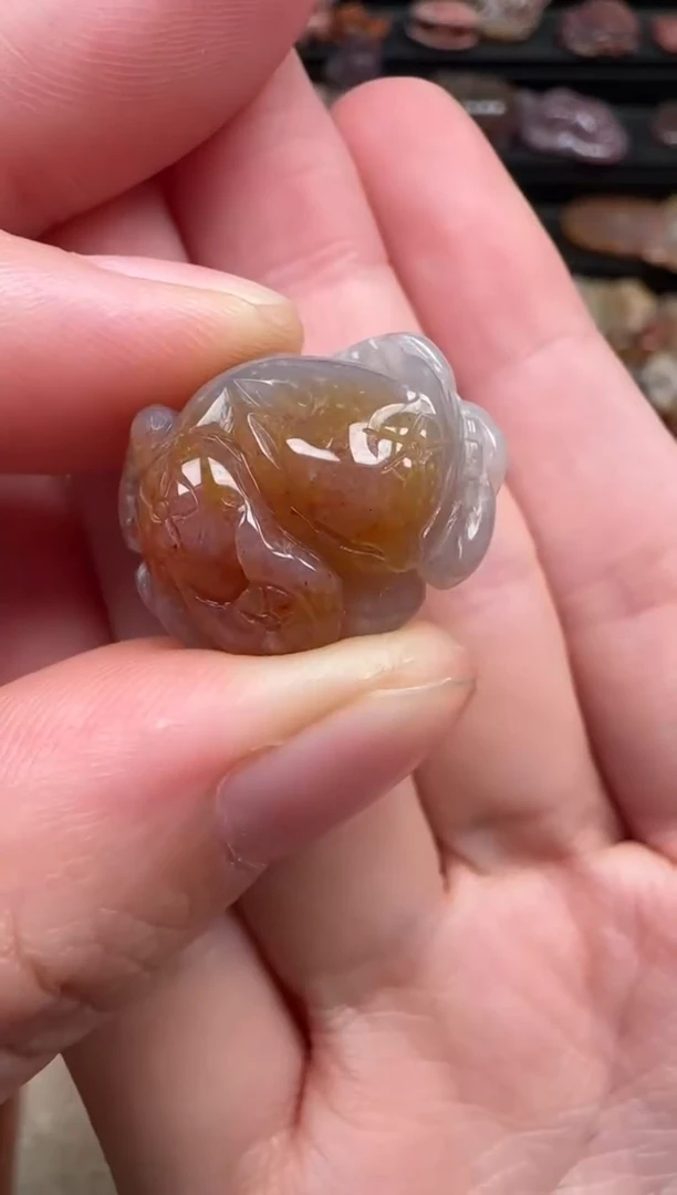 颈饰未镶嵌硅化珊瑚（珊瑚玉）197