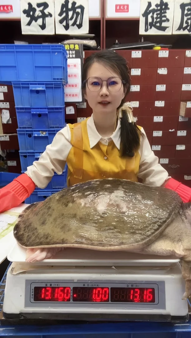 中国大陆金**飞甲鱼一只