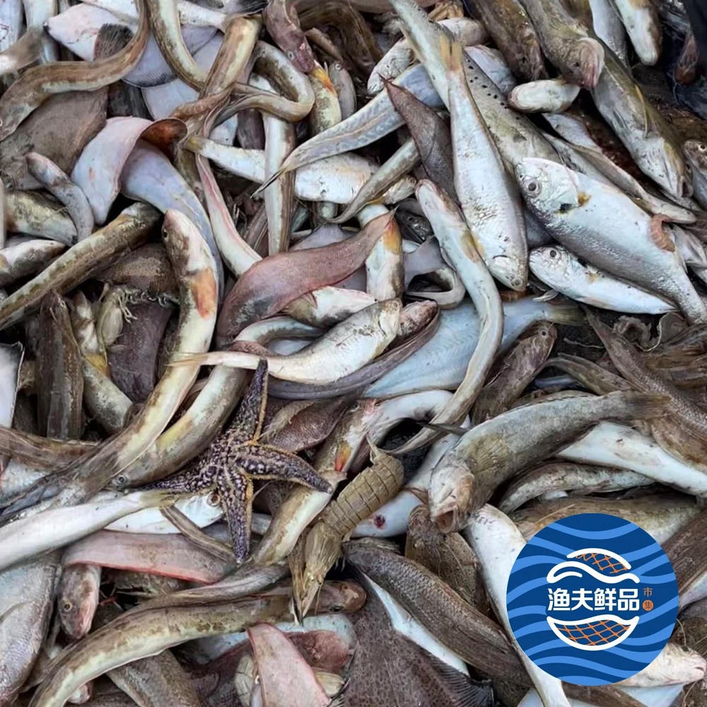 渤海湾新鲜海捕小杂鱼速冻保鲜发货