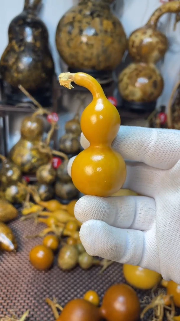 【闪购商品】葫芦葫芦葫芦葫芦