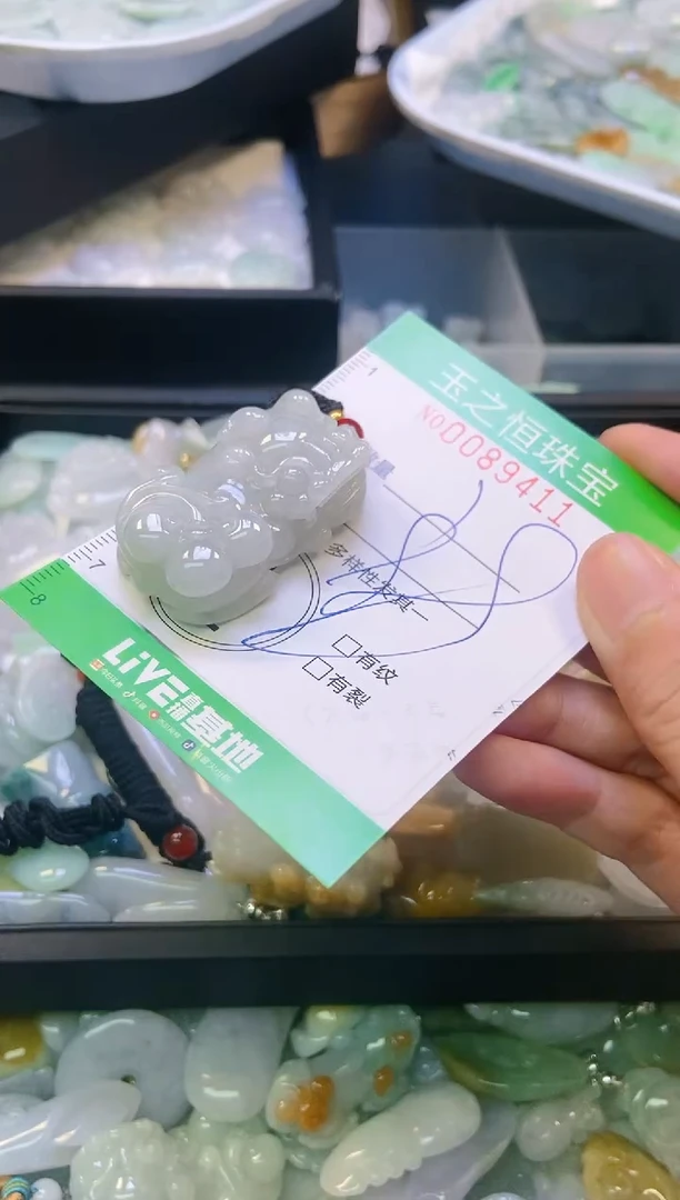 翡翠未镶嵌颈饰闪购0089411