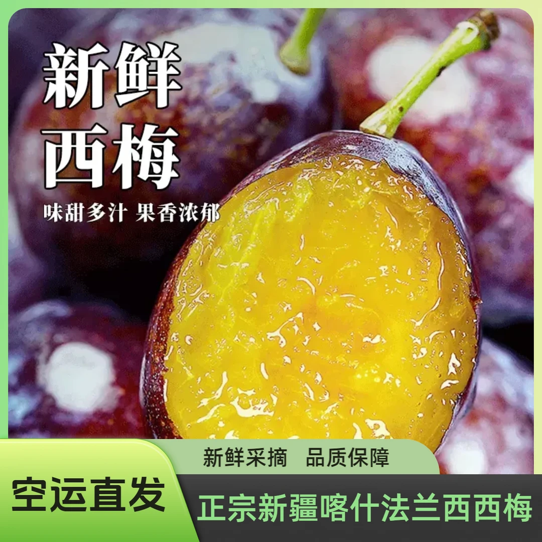 【顺丰空运】正宗新疆喀什法兰西西梅 新鲜西梅 产地直发全国包邮