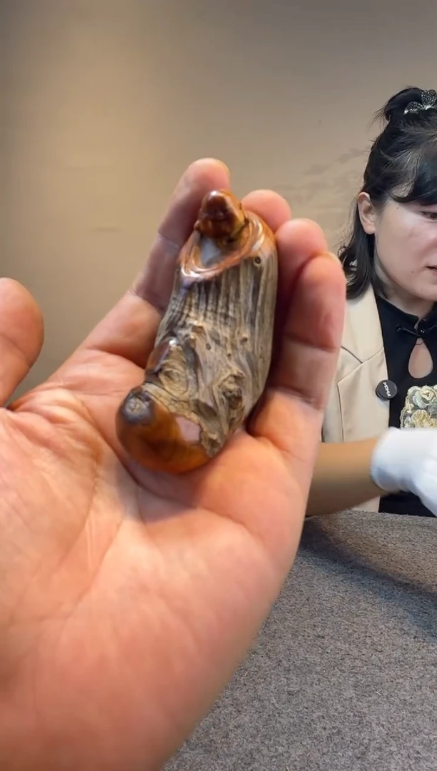 柏木（崖柏）天**云崖柏崖柏