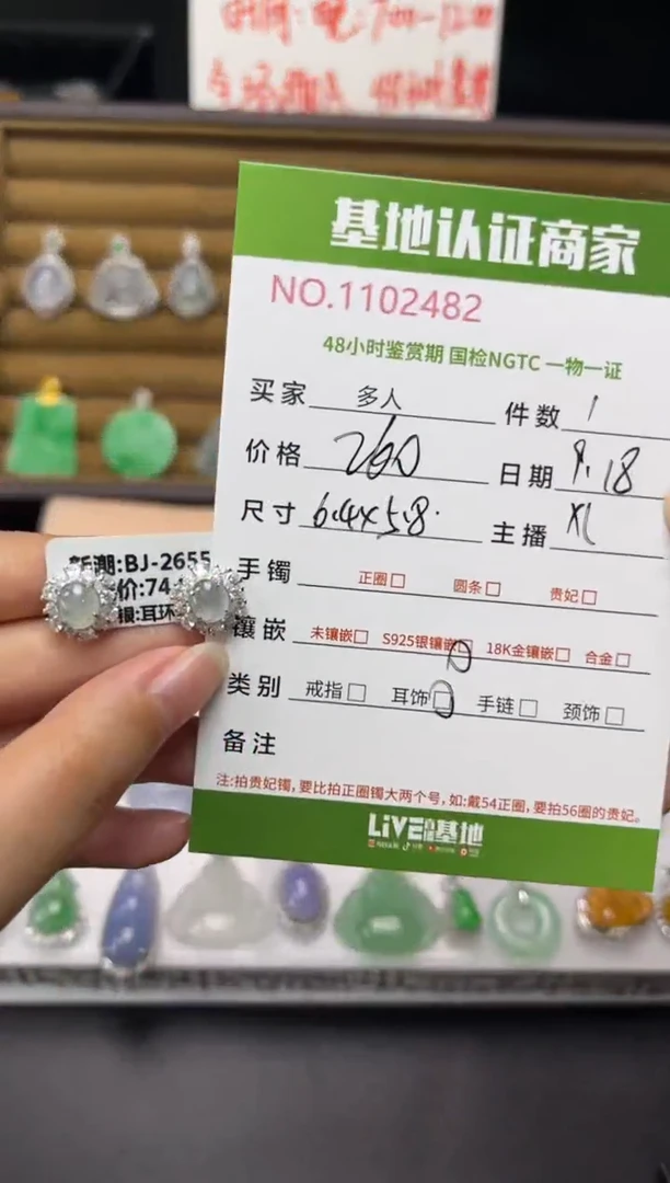 银S925镶嵌翡翠耳饰多人