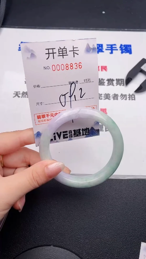 未镶嵌手镯翡翠36