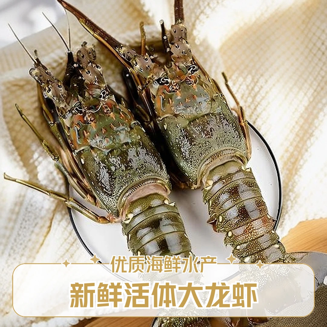 【新永发·活鲜现捞】古巴龙虾