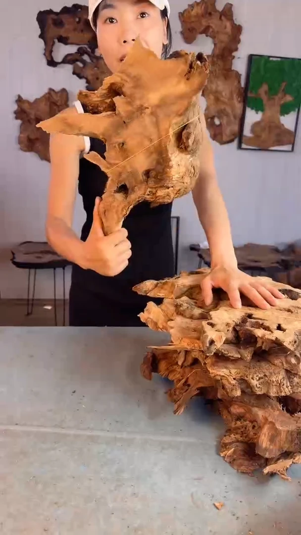 香杉木杉木瘤随型【原料】001