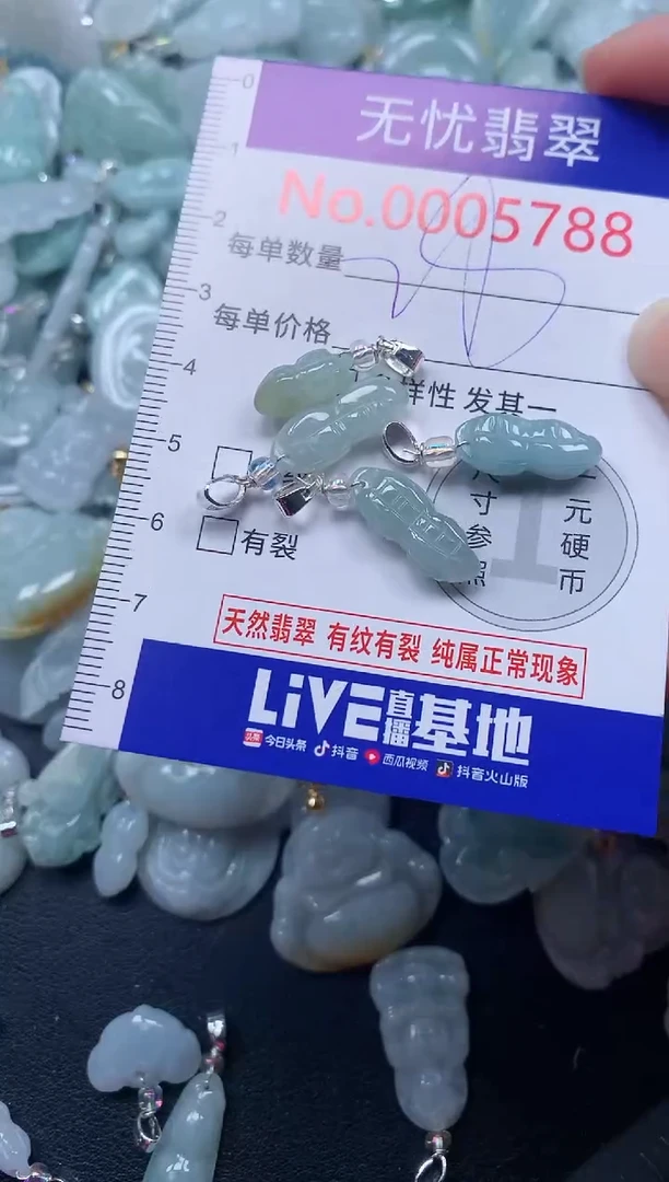颈饰未镶嵌翡翠5788