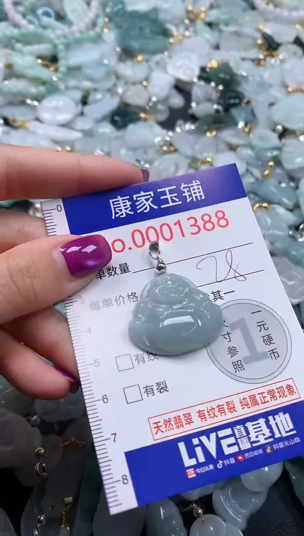 颈饰未镶嵌翡翠1388
