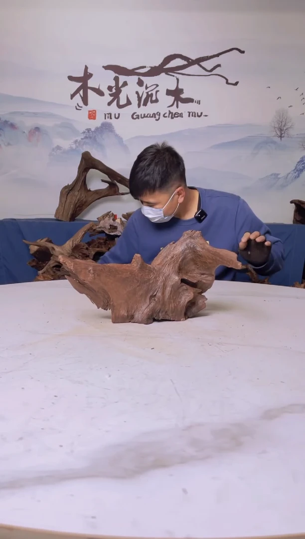 【闪购商品】a446木光沉木木光沉木