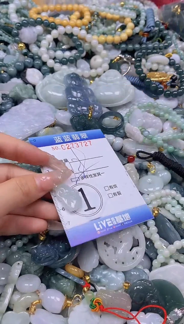 翡翠未镶嵌颈饰闪购0273727多样性发其一