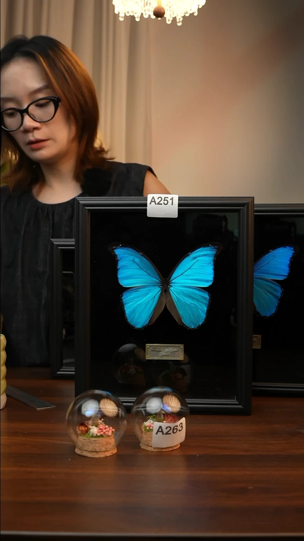 大蓝闪蝶-黑绒（10寸欧式黑框）A251