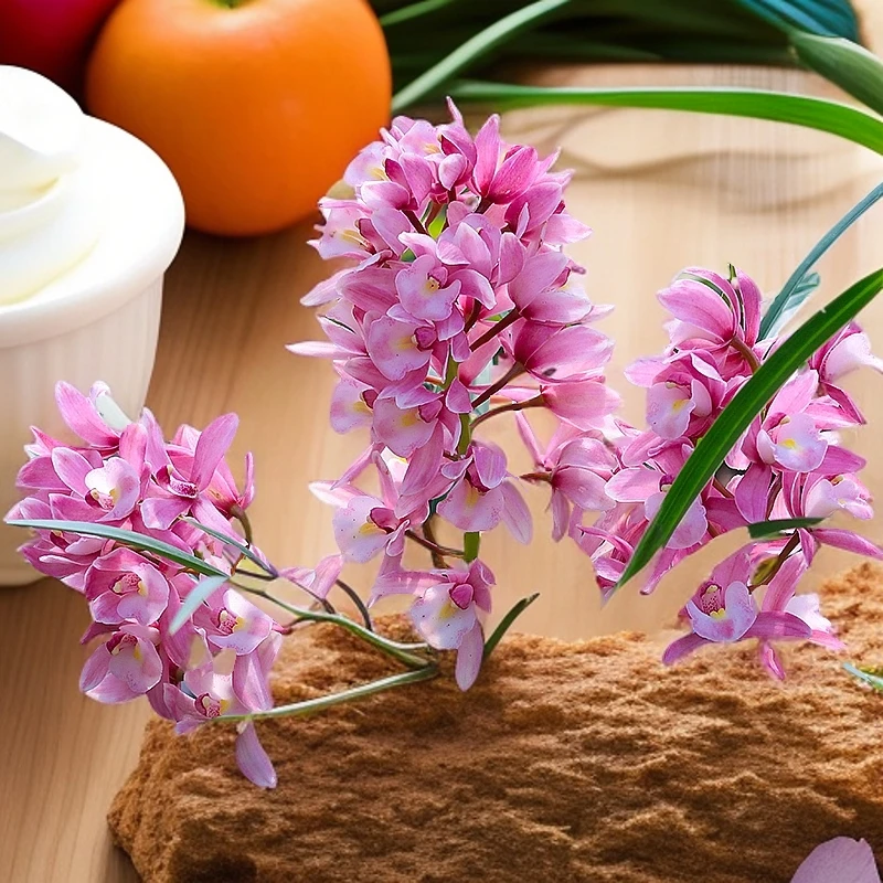 大花蕙兰-【樱花】易活客厅阳台绿植兰花植物花卉盆栽花期清香型