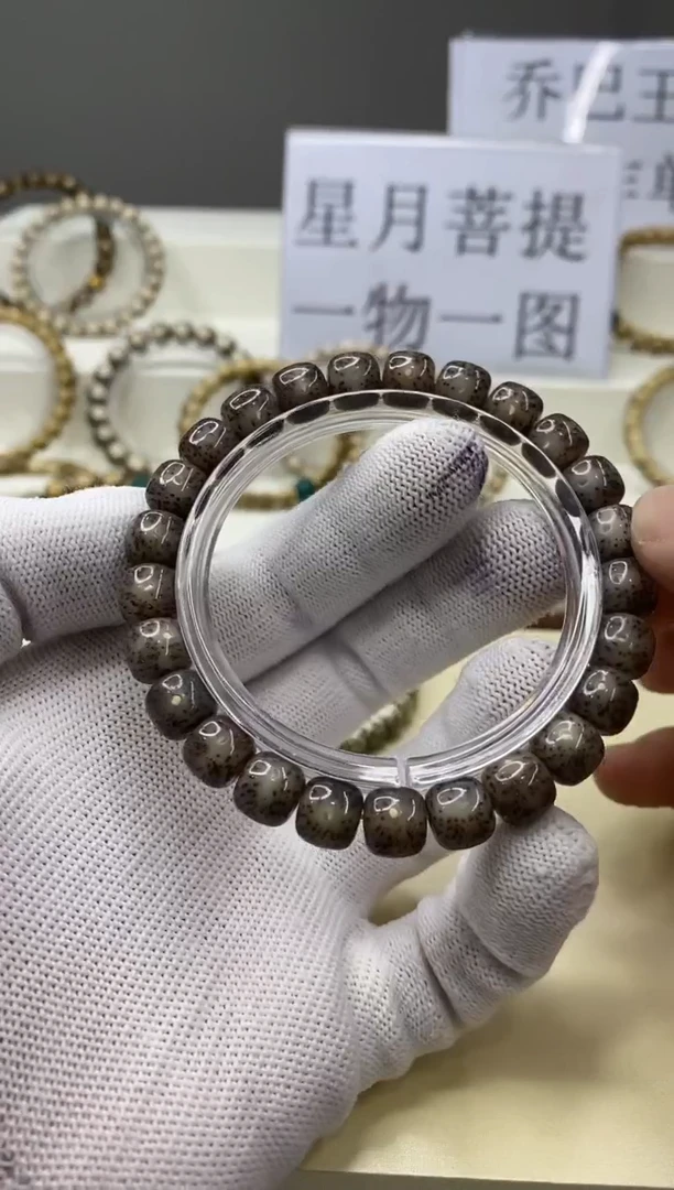 手串星月菩提一物一图-W70-191