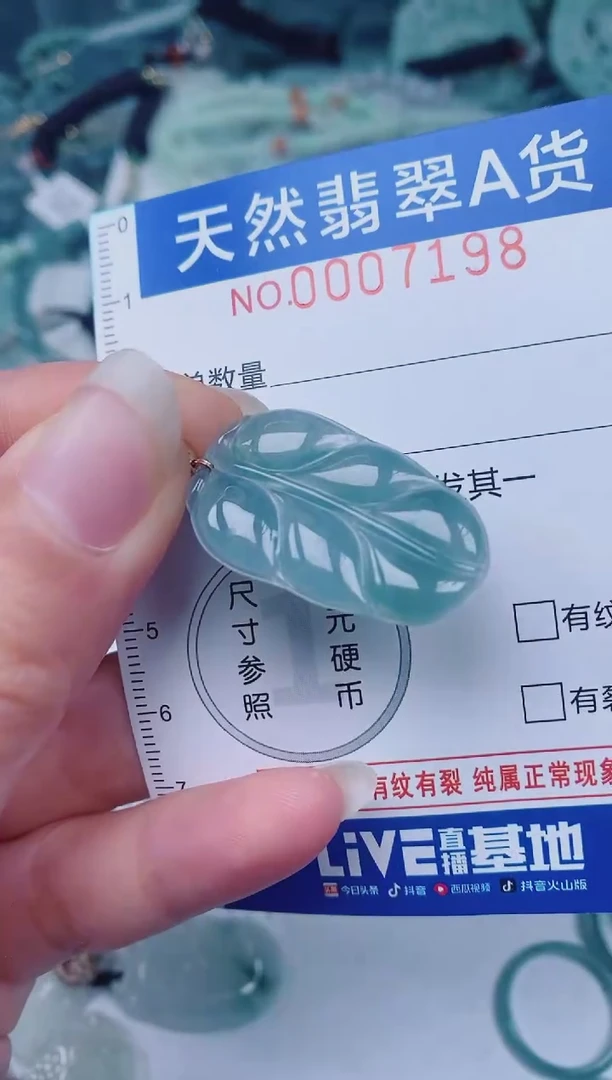 颈饰未镶嵌翡翠00007198