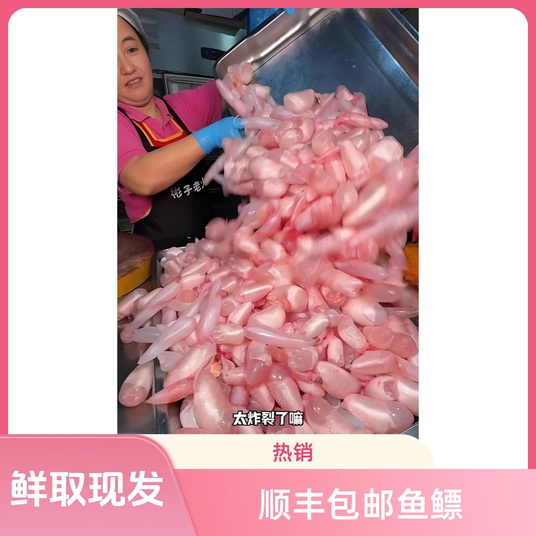 顺丰包邮厂家直销新鲜草鱼鱼泡鱼鳔生鲜发货鱼泡鱼泡新鲜批发鱼肚