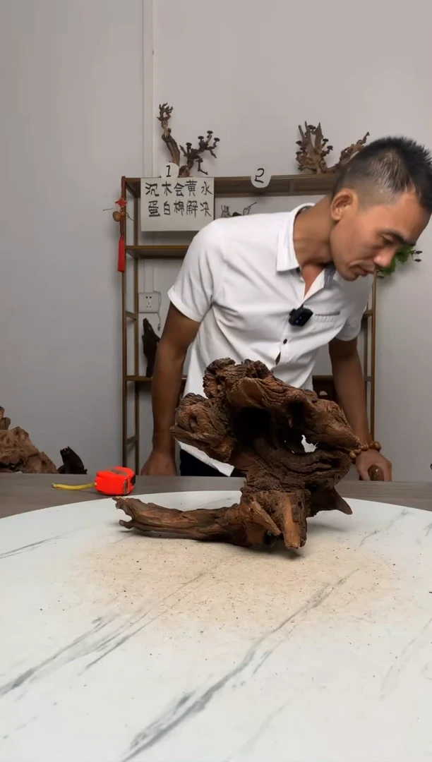 用****3鱼缸造景沉木摆件