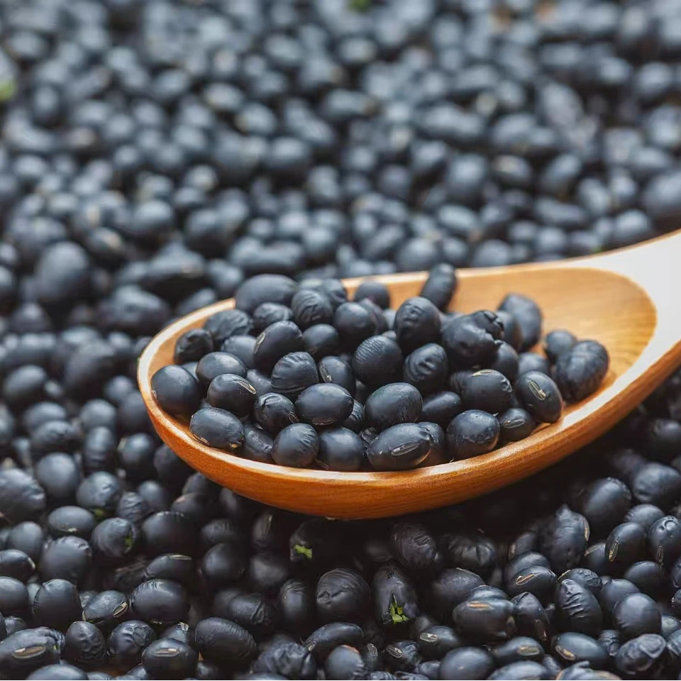 【小瞿助农】城口大巴山黑豆