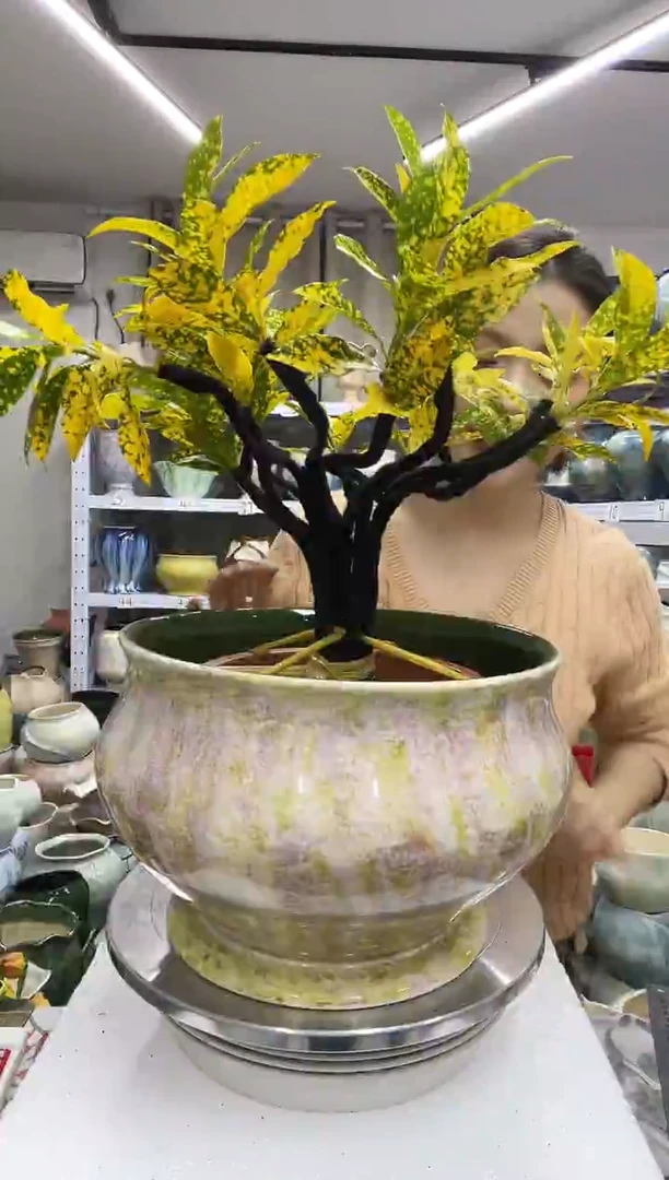 【12.23】花盆链接 高：19  口：26