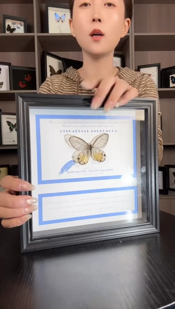 实木竖款黄金绡眼蝶（蝴蝶装饰画8寸框）