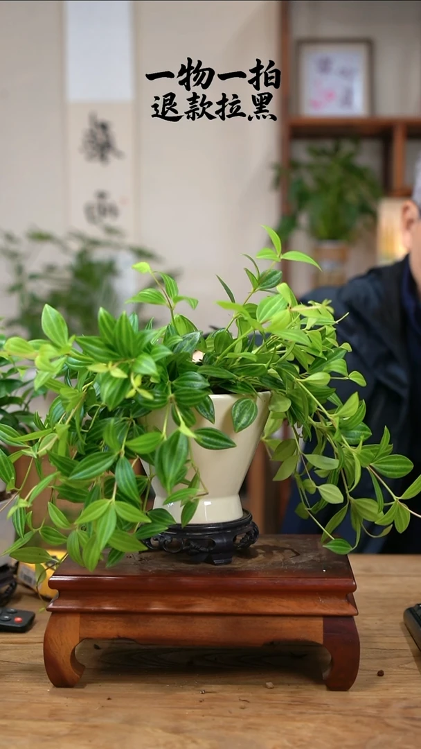 完全开放妞钻石180