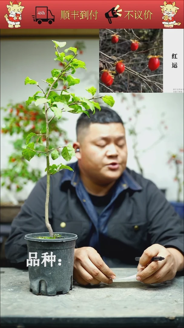 无花朵享**界/40顺丰到付/251117/1/红运