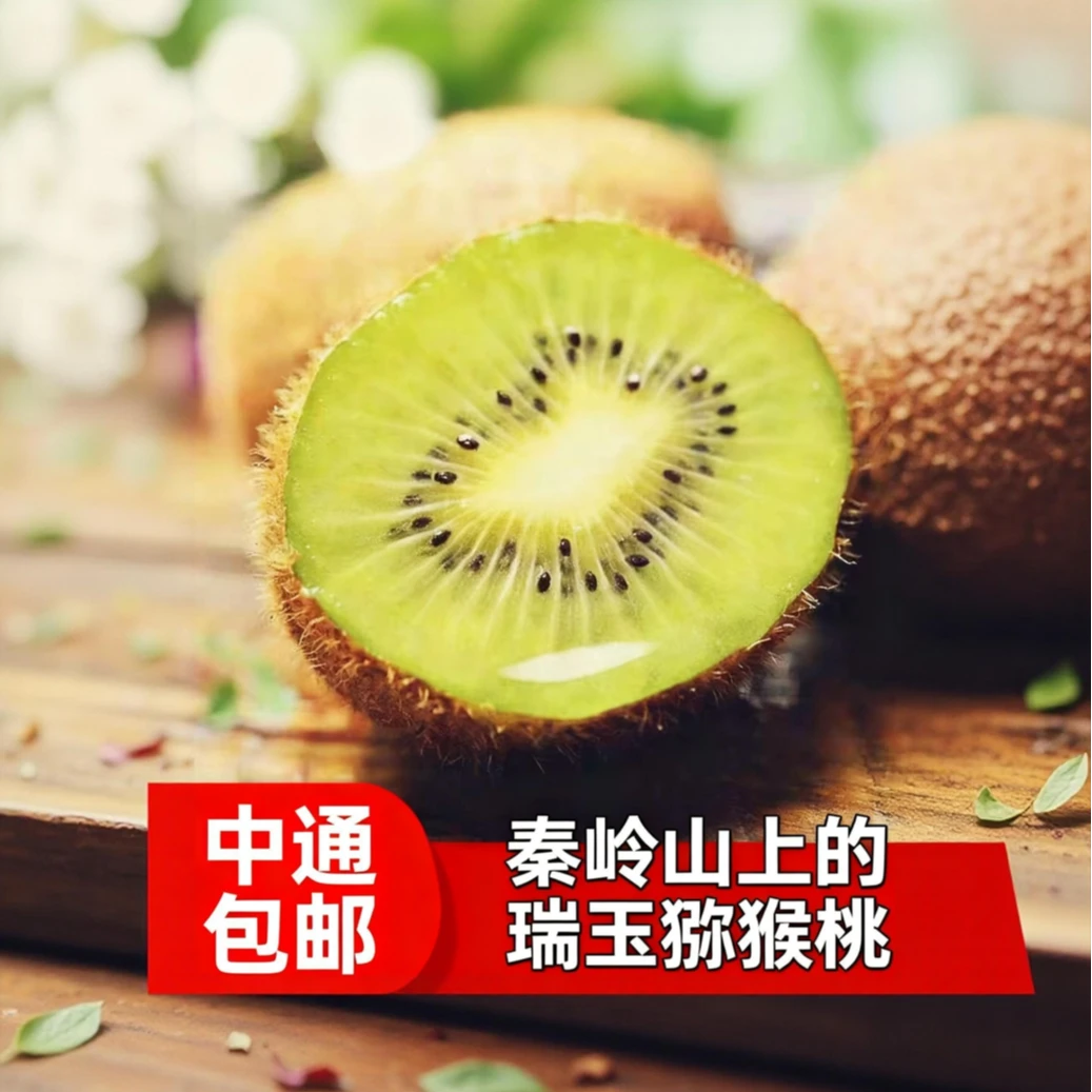 陕西周至瑞玉猕猴桃果园直发