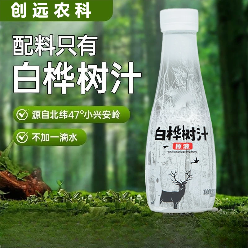 大兴安岭白桦树汁原液植物饮料健康自然
