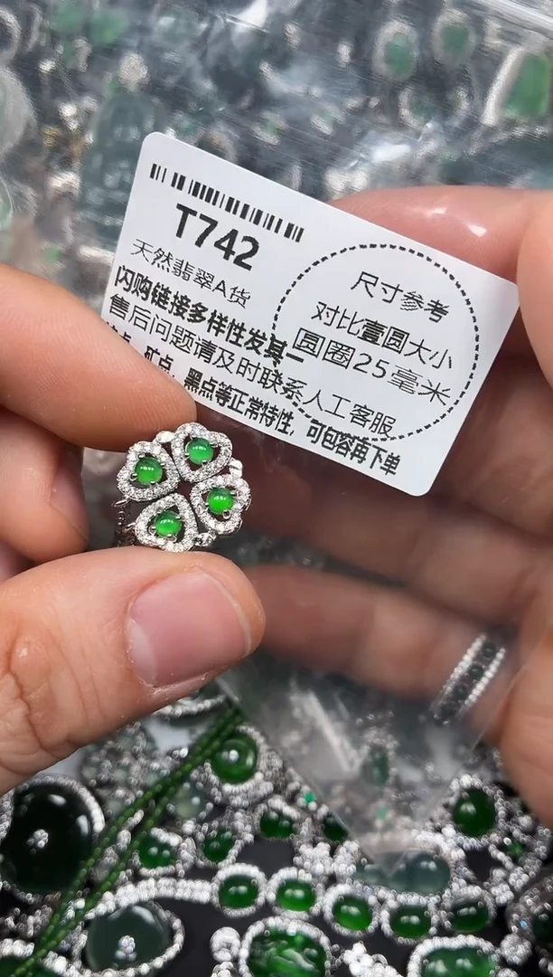 颈饰未镶嵌翡翠T742项链