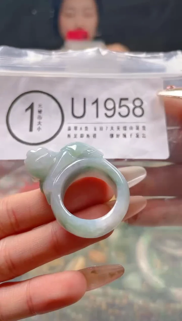 【闪购商品】翡翠颈饰未镶嵌19.5/U/翡翠A货一图一物