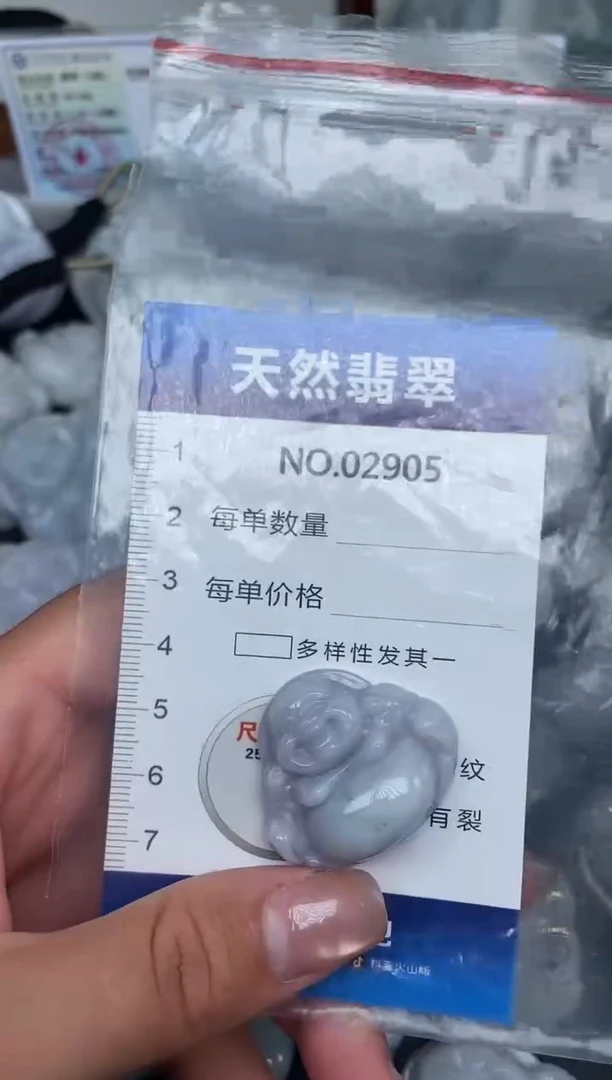 颈饰未镶嵌翡翠纯天然A货翡翠2905
