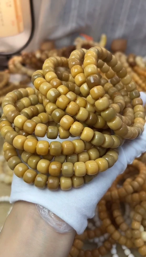 菩提根/象牙果手串干磨树王墩墩多宝一条0416