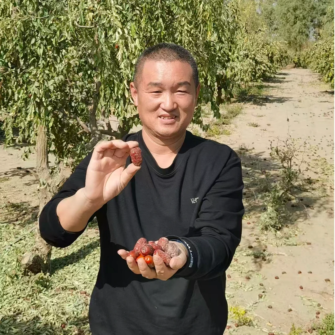 【原生态未清洗/新疆发货】正宗新疆灰枣吊干枣香浓郁软糯香甜大枣