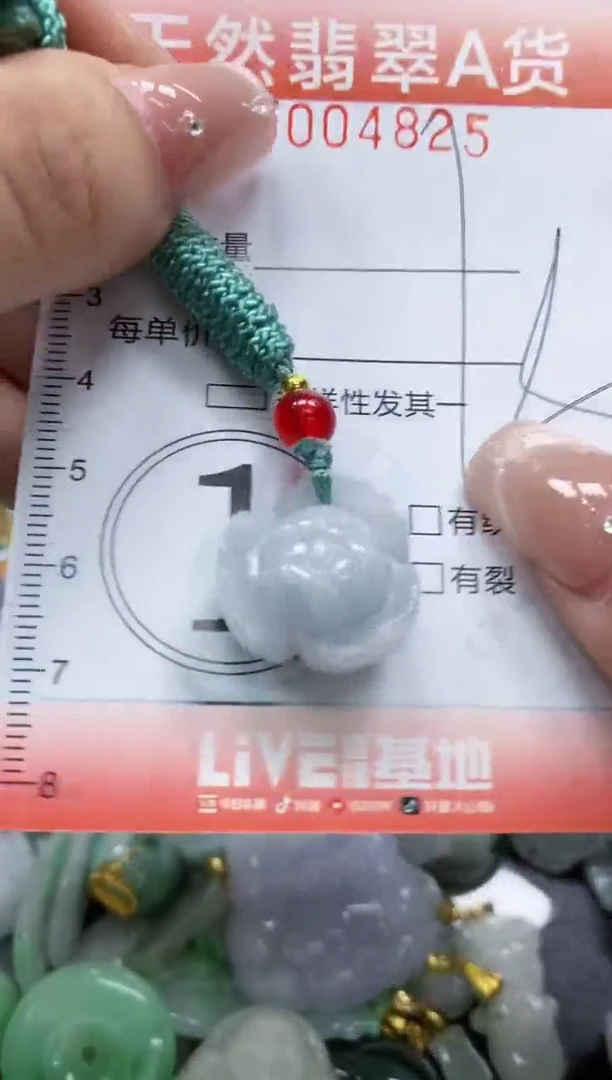 翡翠未镶嵌颈饰闪购0004825