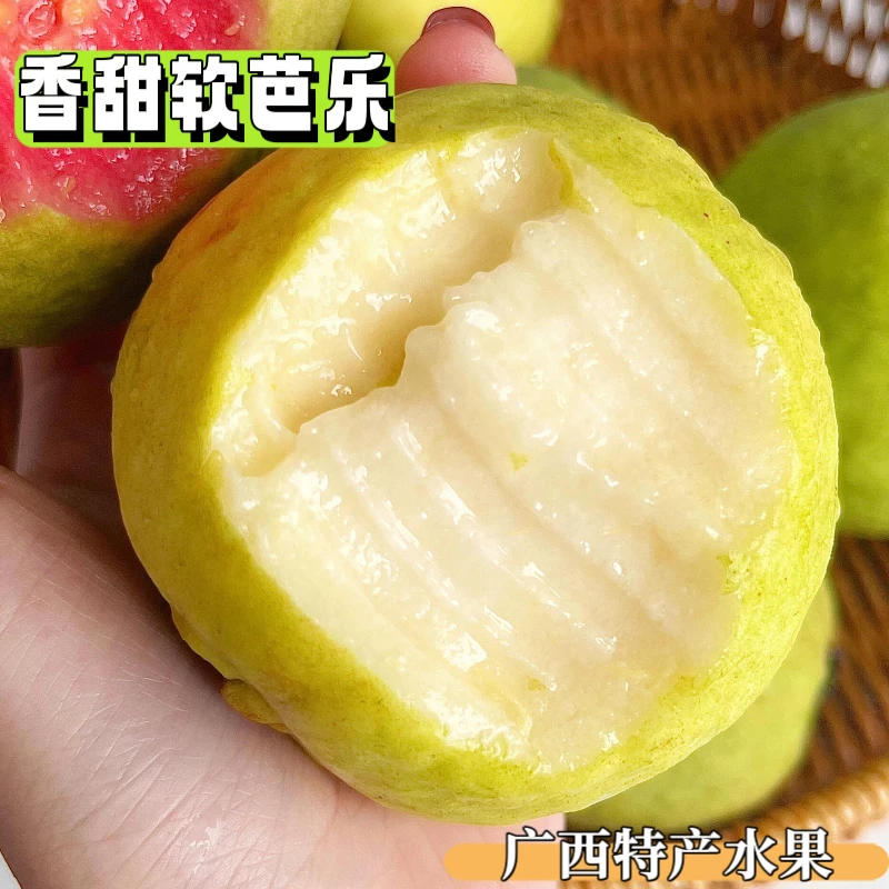 【放软再吃】正宗广西红心芭乐新鲜水果奶油芭乐白心芭乐孕妇水果
