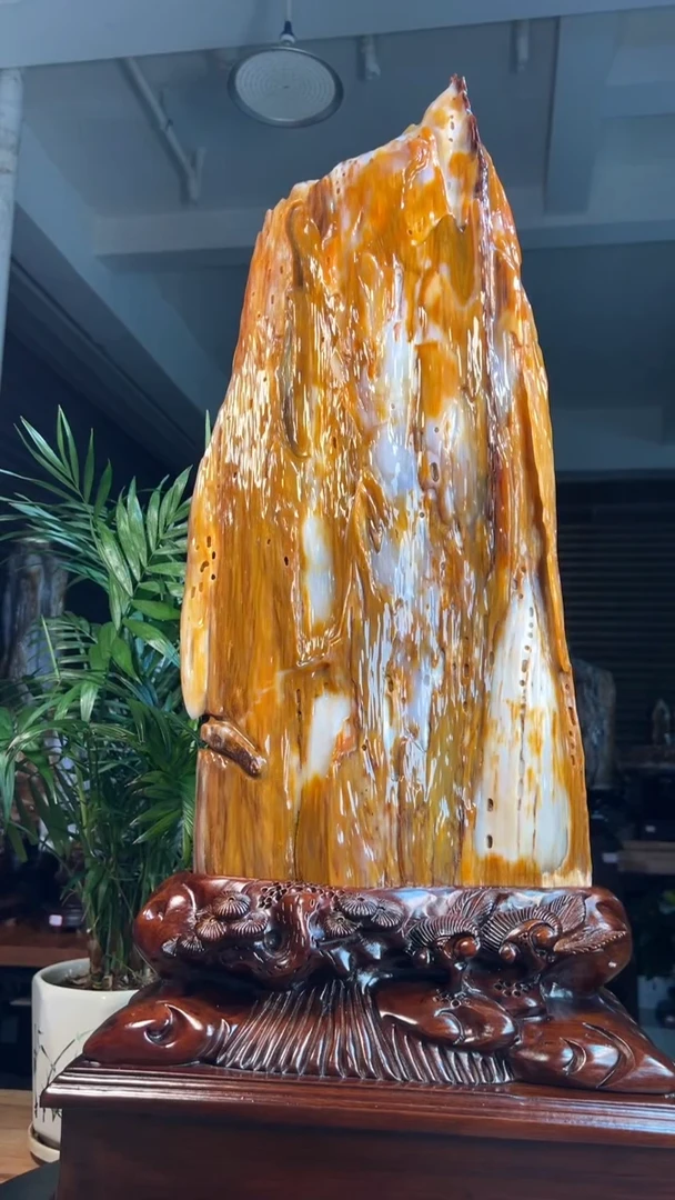 未镶嵌硅化玉（树化玉）珠宝奇石0560（高度 85厘米 带虫）