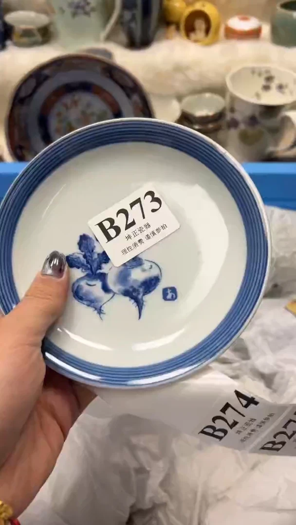 【闪购商品】瓷片          B273