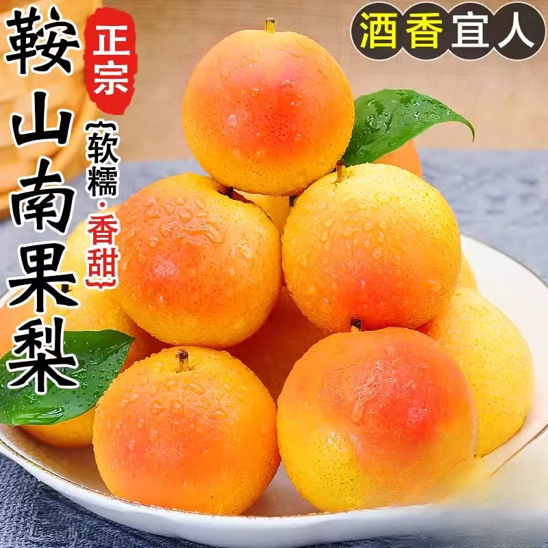 顺丰包邮宗正辽宁鞍山南果梨新鲜多汁应季水果香水梨孕妇宝宝水果