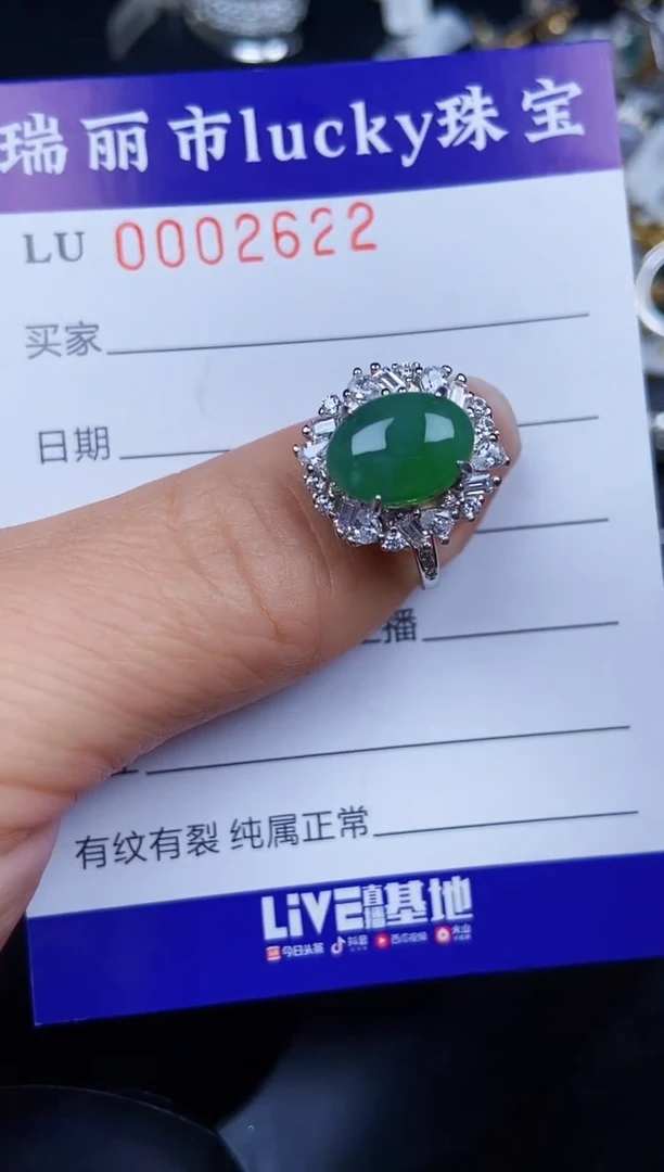 翡翠银S925镶嵌颈饰2622