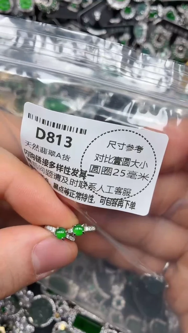 颈饰未镶嵌翡翠D813耳扣