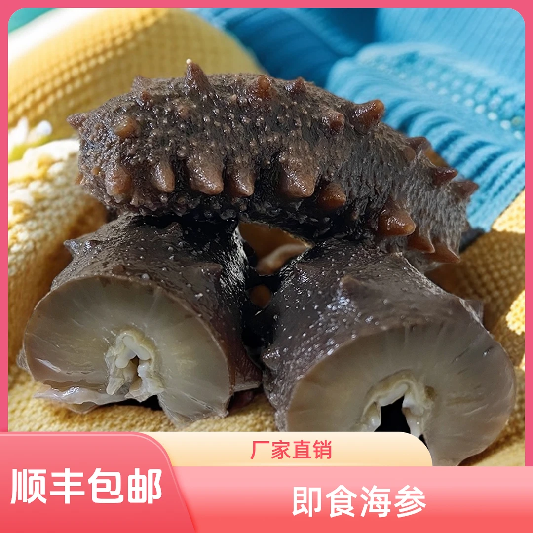 【大头即食海参】北海深水大连海参厂家直销即食海参海鲜速冻即食