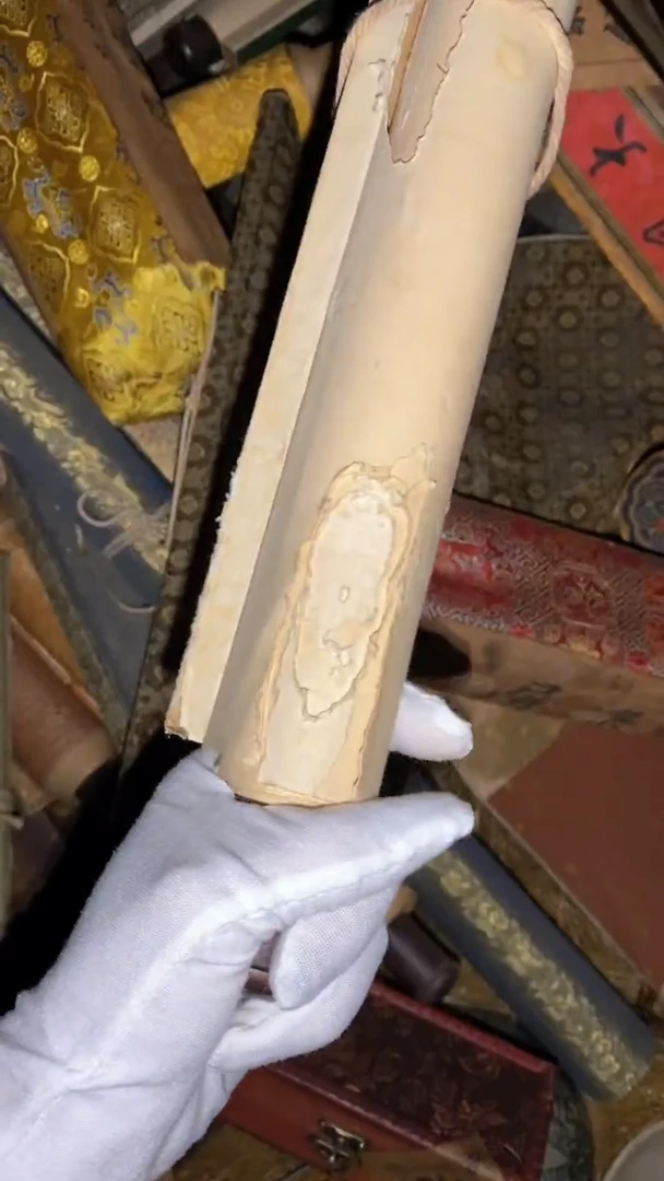 香榧木一一一一一福利